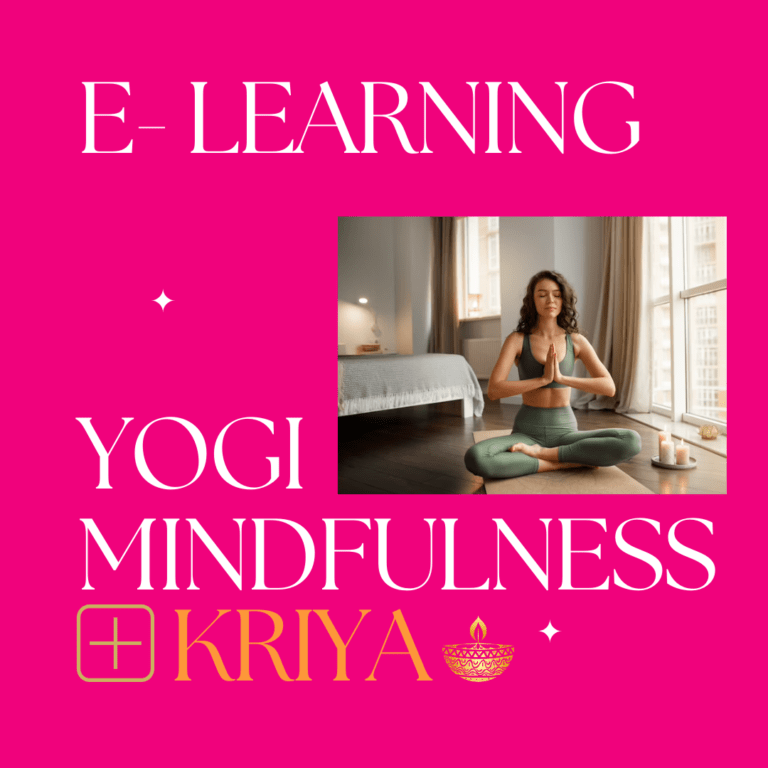 Training "Yogi Mindfulness met KRIYA"